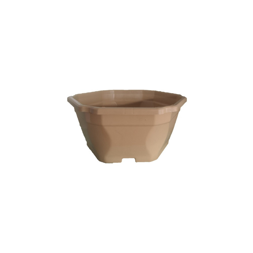 Coupe Hexagonale Creme 25 Coupe Hexagonale Creme 25