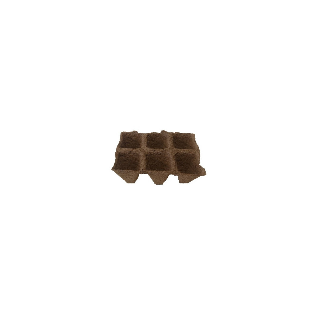 Plaque De Culture Biodegradable 5x5 De 6 Alveoles Plaque De Culture Biodegradable 5x5 De 6 Alveoles