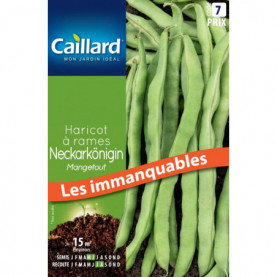 PHOTO 1/PFCG17227 haricot a rames mangetout neckarkonigin.jpg