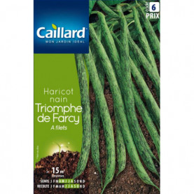 PHOTO 1/17448 haricot nain a filets triomphe de farcy.jpg