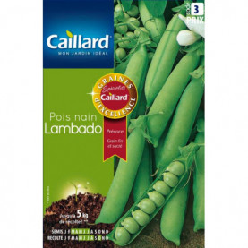 PHOTO 1/PFCF17801 pois nain lambado.jpg