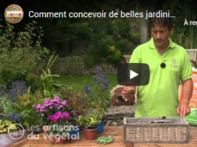 CONCEVOIR DE BELLES JARDINIÈRES D’AUTOMNE